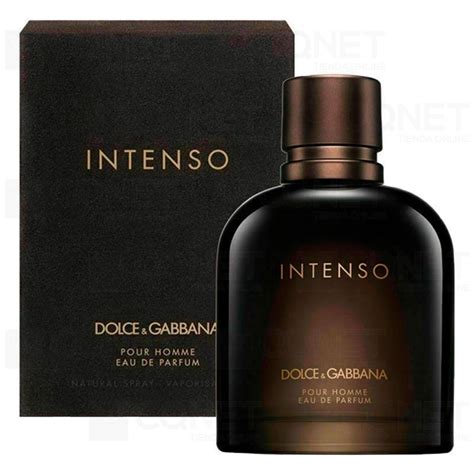 dolce gabbana q intense fragrantica|dolce gabbana intenso price.